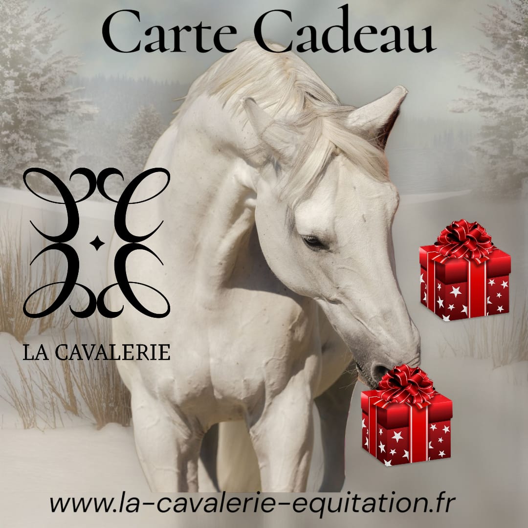Carte Cadeau
