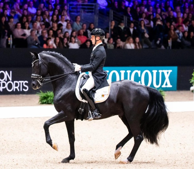 Cheval exécutant un passage lors d’une reprise de dressage